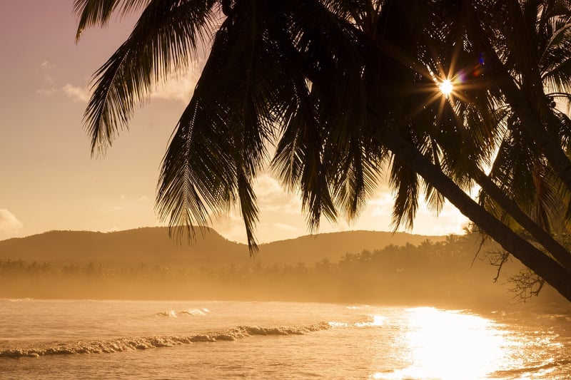 Tropical Beach